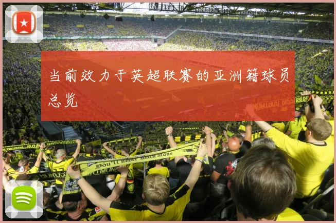 当前效力于英超联赛的亚洲籍球员总览