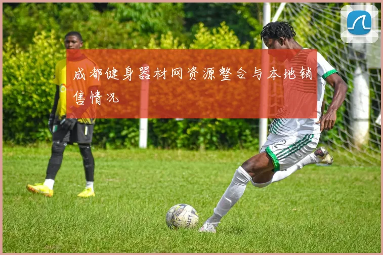 成都健身器材网资源整合与本地销售情况