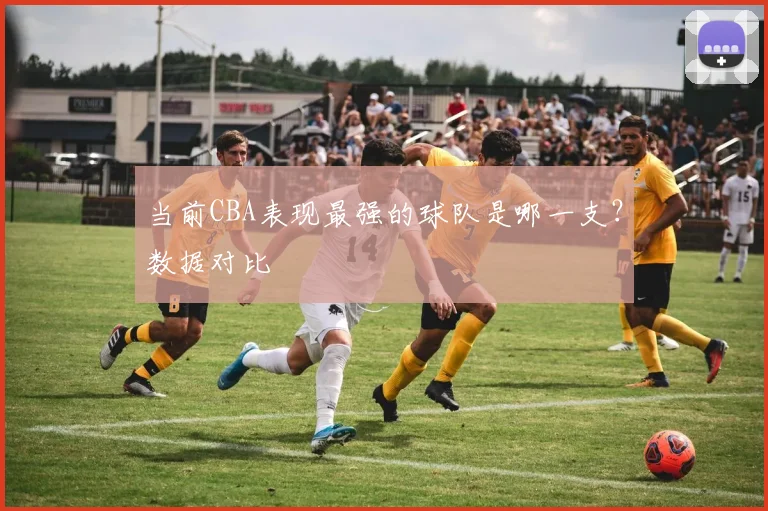 当前CBA表现最强的球队是哪一支？数据对比