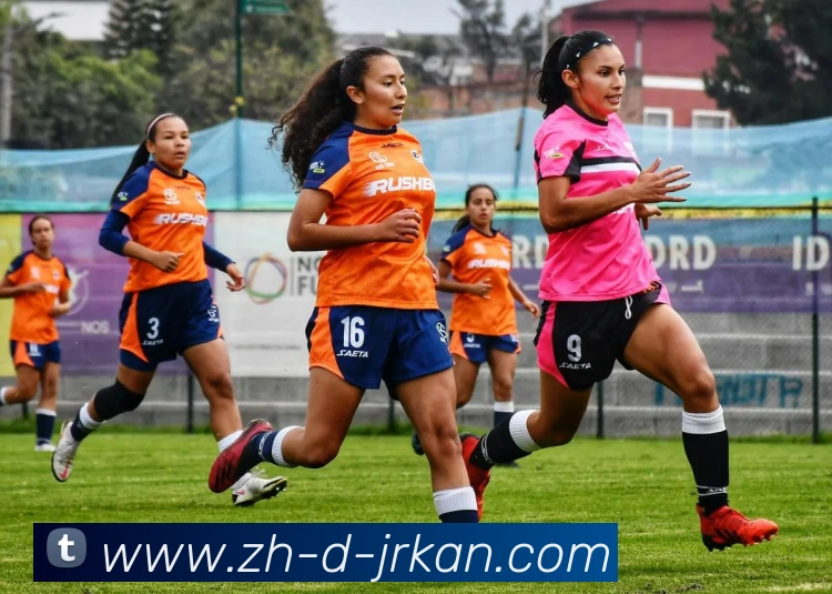 数据防护可视化